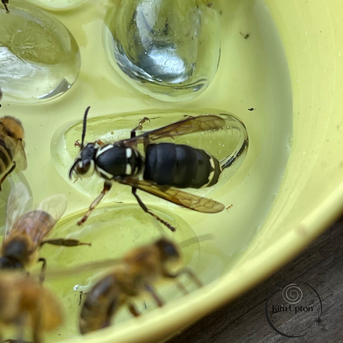 the fear of leaving the book of&nbsp;face