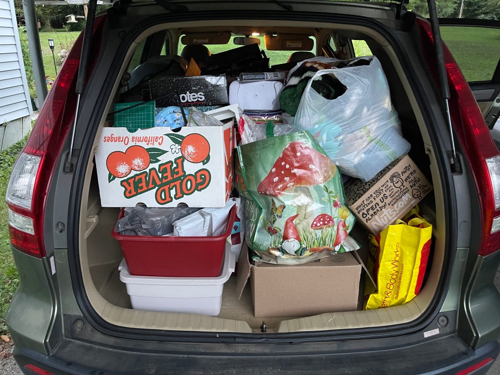Image of bags and boxes in a car to be donated.