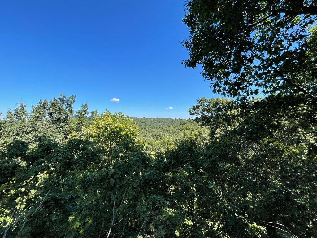 photo of the view from a canopy tree walk 75 feet above the forest floor which is located in an area that reaches around 900 feet above sea level