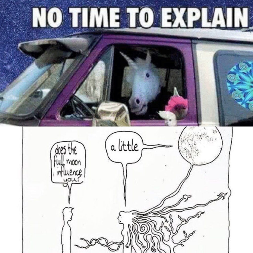 Unicorn in a van saying no time to explain and someone talking to a woman asking if the full moon influences them. The reply is, a little.