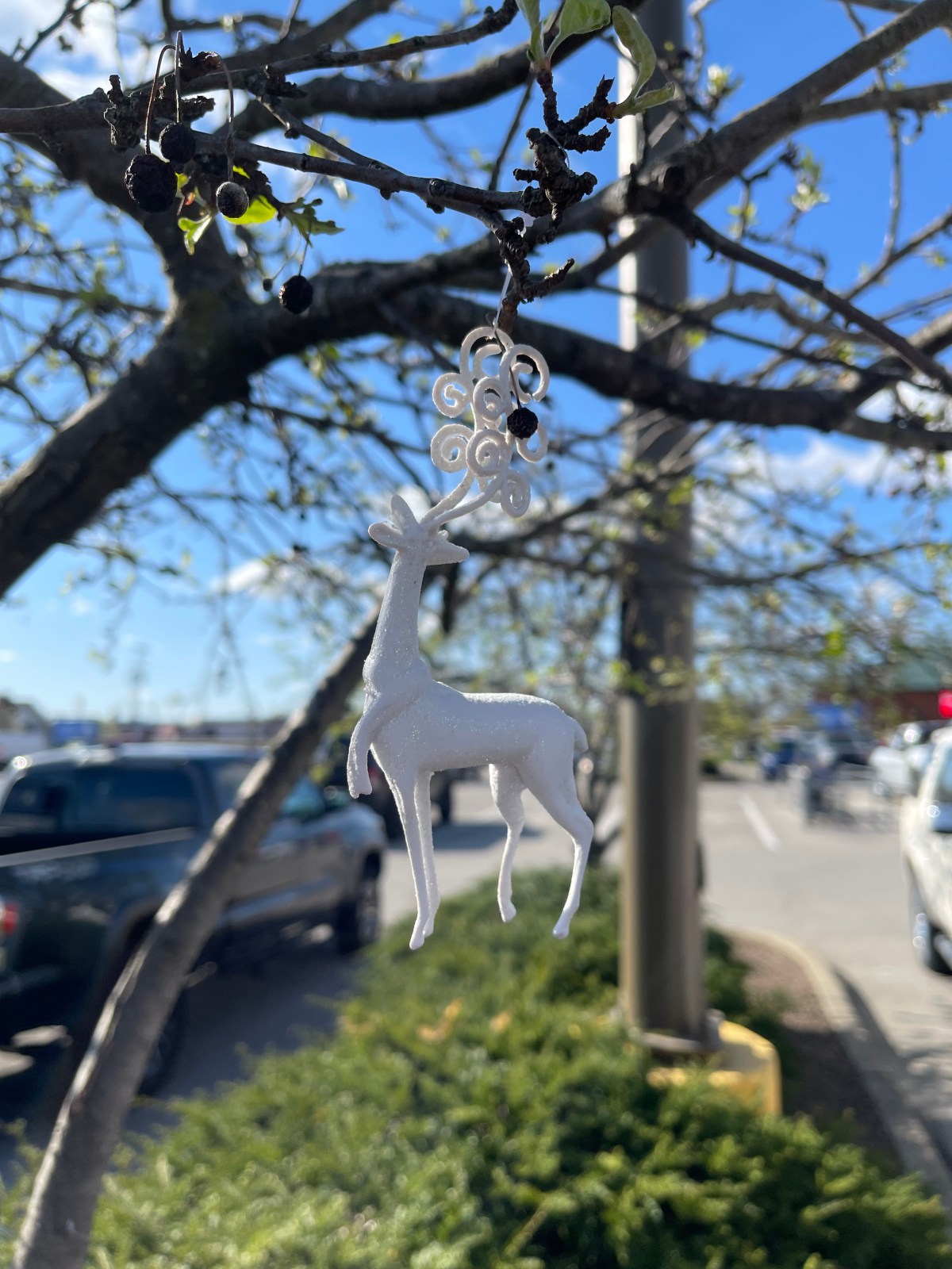 Don’t drive the karma&nbsp;bus