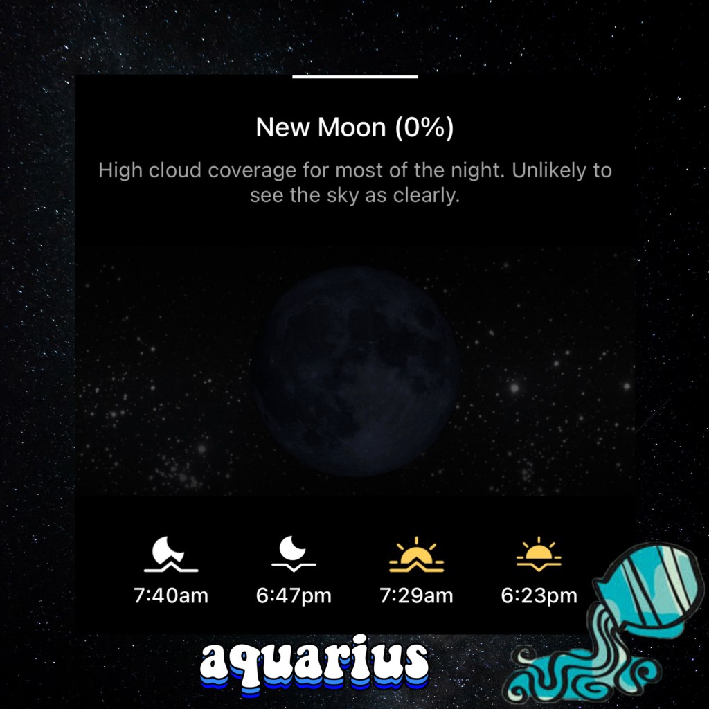 Image of the new moon for February 17th, 2026.