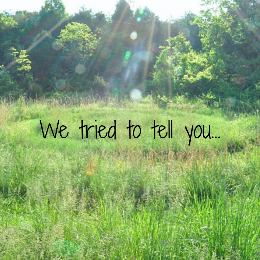 photo of a field with a spiral mown into the grass with the text, "we tried to tell you..."