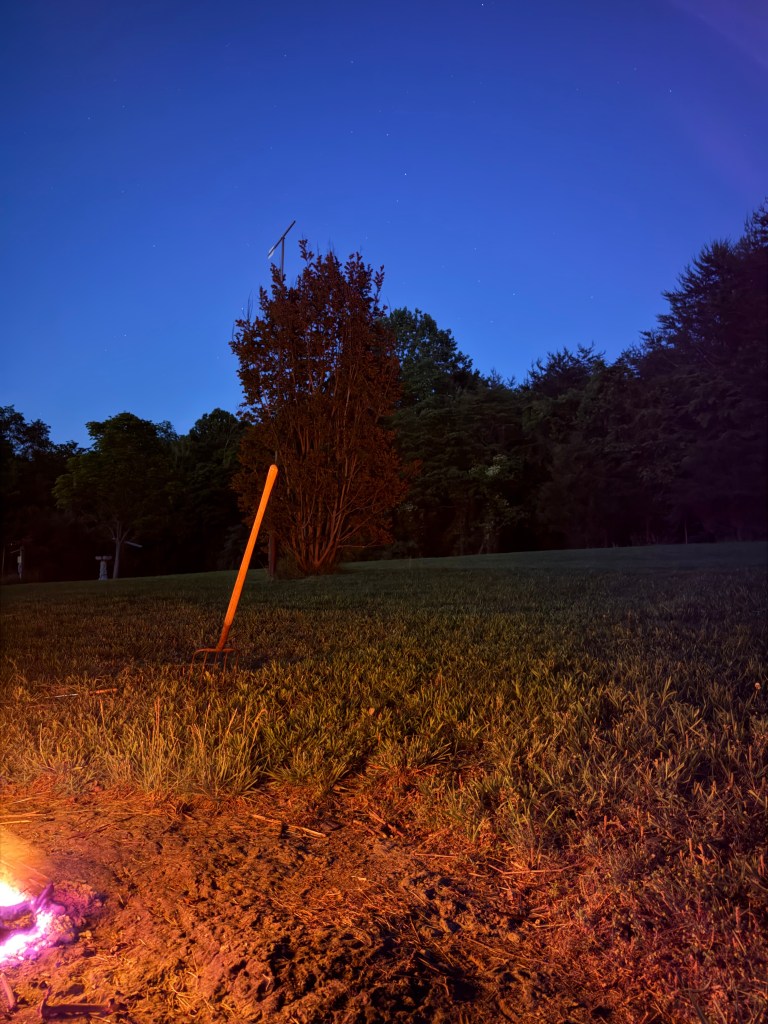 scene of a forest at night