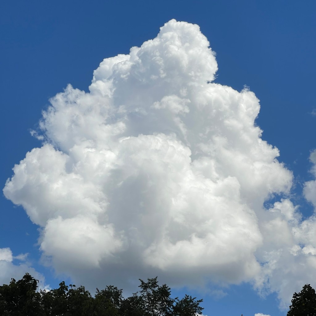 Photo of a big puffy cloud.